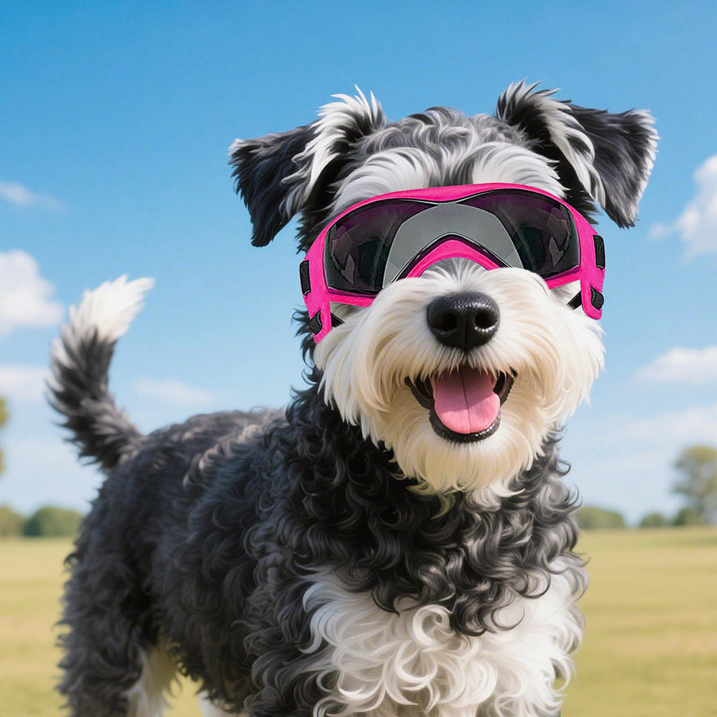 Frenchie Sport Dog Goggles