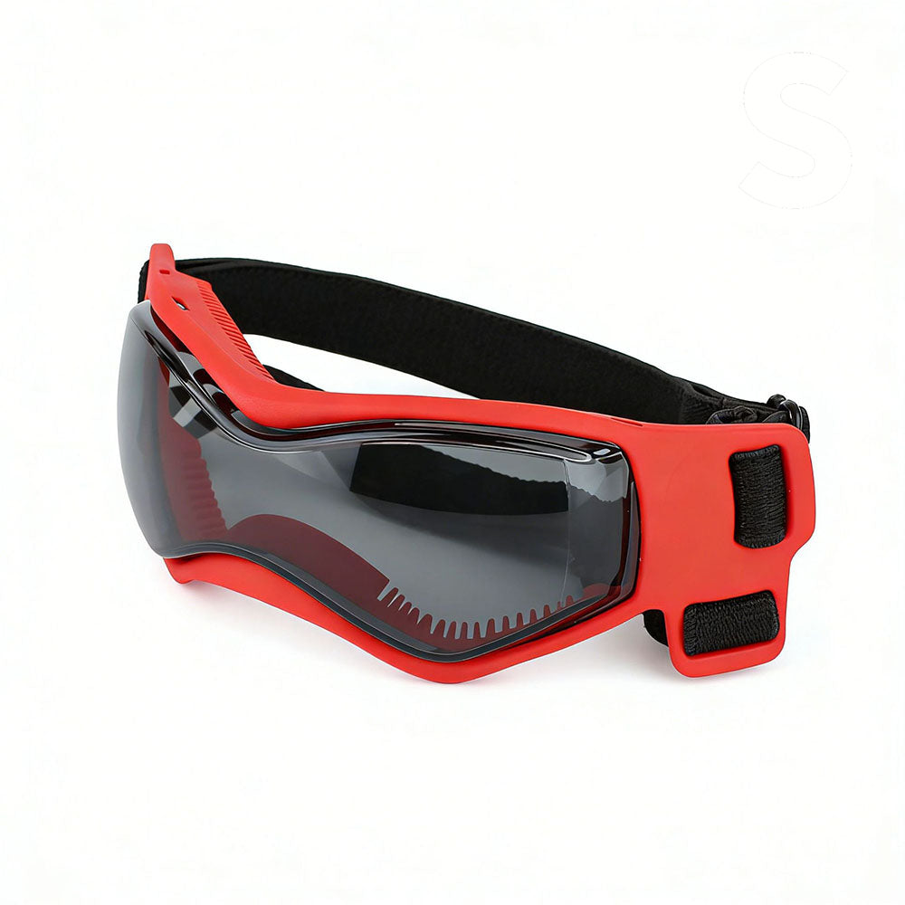 Frenchie Sport Dog Goggles