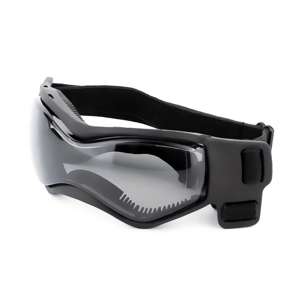 Frenchie Sport Dog Goggles