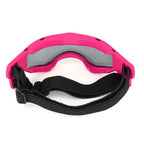 Frenchie Sport Dog Goggles