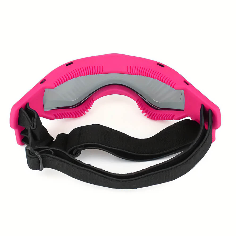 Frenchie Sport Dog Goggles