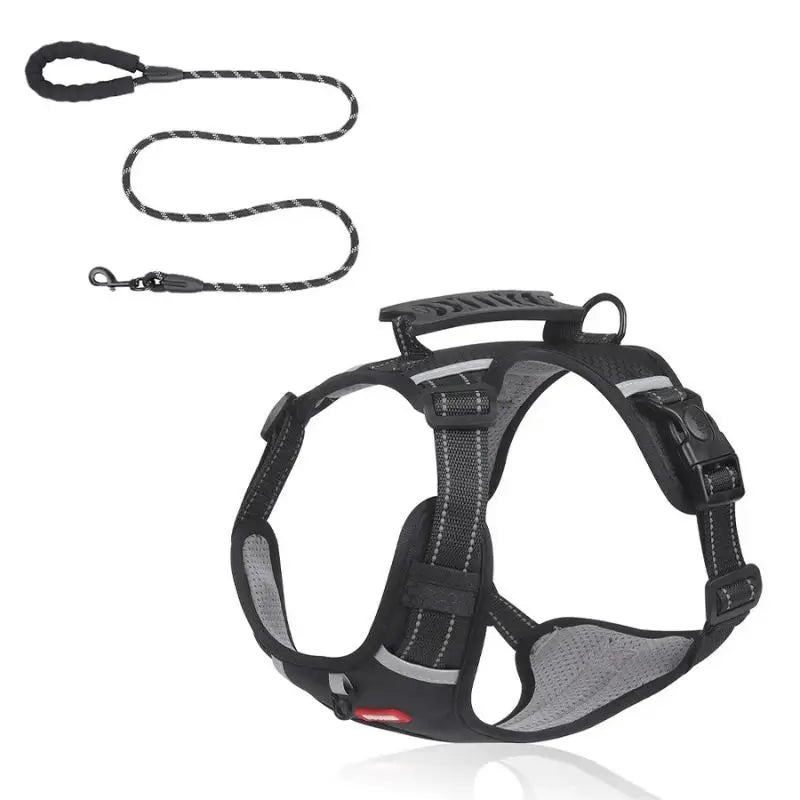 Black no-pull dog harness with reflective trim and matching leash for French Bulldogs, featuring padded mesh lining and top handle.