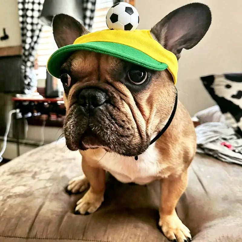 Adorable fawn French Bulldog wearing a Brazil-themed soccer visor hat with a 3D soccer ball on top, sitting indoors.
