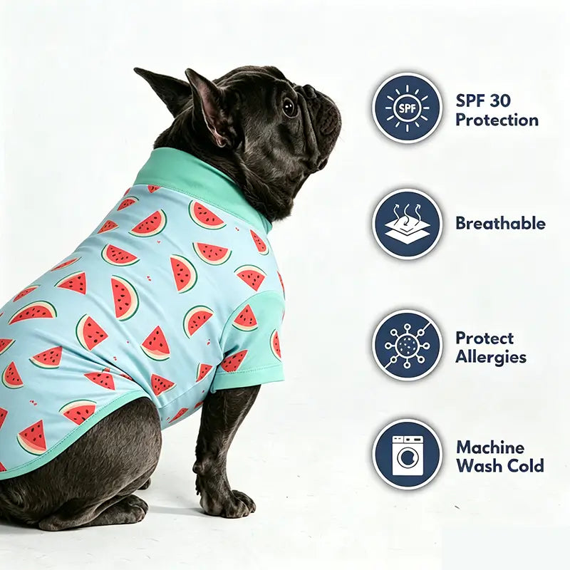 French Bulldog in watermelon sun shirt with product features SPF30 protection, breathable fabric, allergy-safe, machine wash cold, summer dog UV apparel