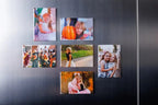 Custom Personalized French Bulldog Photo Fridge Magnet, custom printed pet picture square refrigerator magnet for Frenchie memory home decor