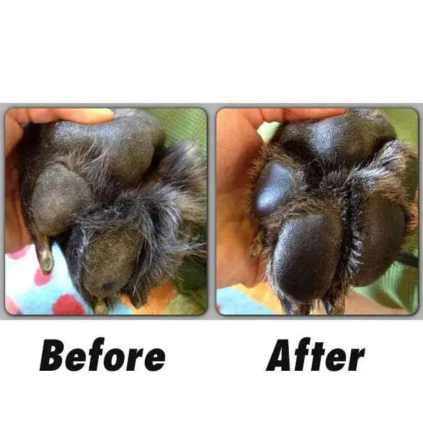Before and after effect of natural dog paw balm repairing rough cracked dry paw pads