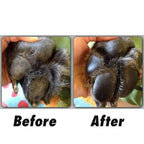 Before and after effect of natural dog paw balm repairing rough cracked dry paw pads