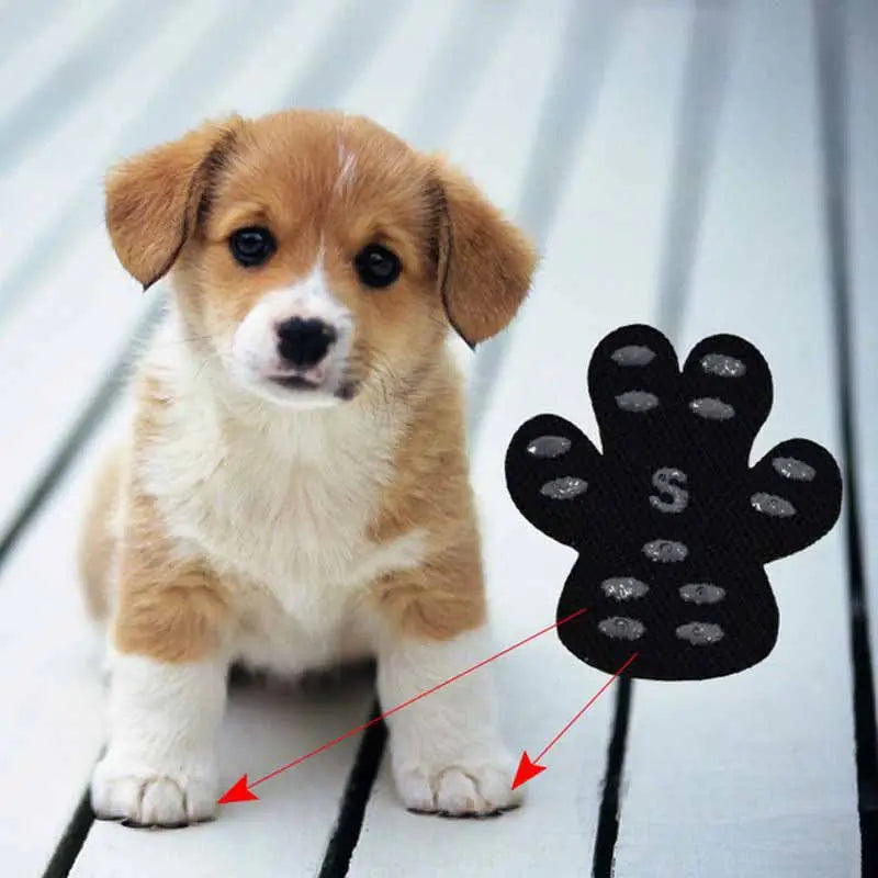 Black S size invisible dog paw pads applied to corgi puppy paws, anti-slip silicone foot protectors for French bulldogs