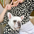 White French Bulldog wearing matching black daisy print shirt with its owner, cute matching pet and human outfits