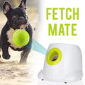 French bulldog playing fetch with automatic tennis ball launcher toy - interactive dog fetch machine for small dogs