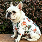 White French Bulldog wearing a matching owner-style t-shirt with cartoon cat print, pet apparel photoshoot