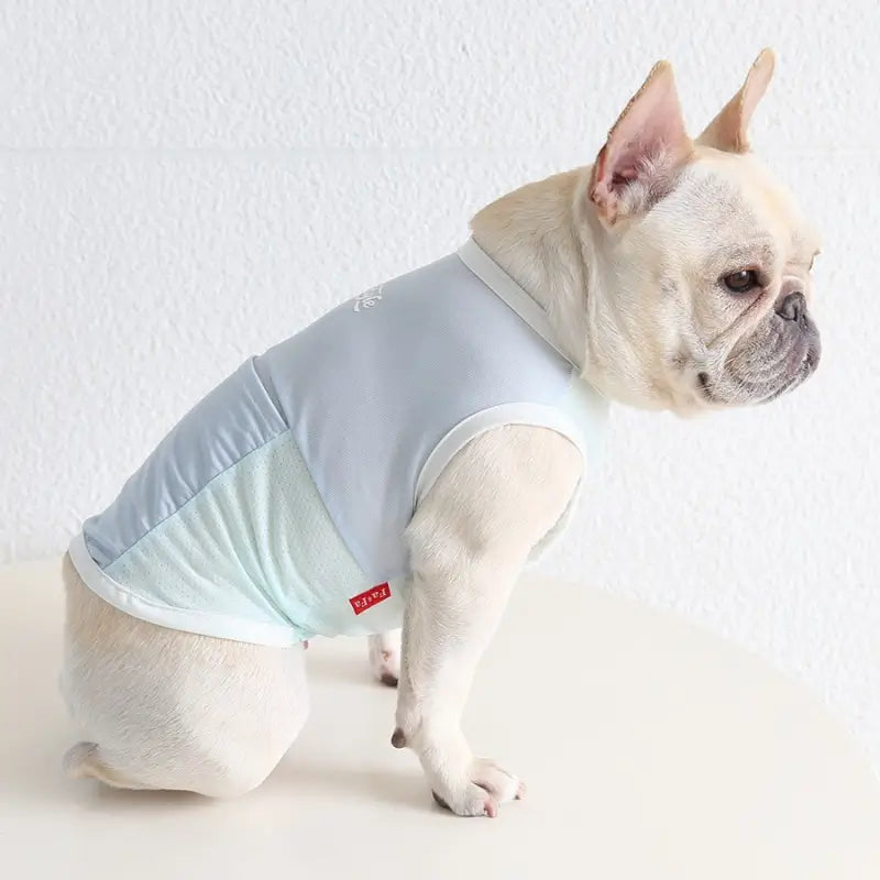 French Bulldog with light blue mint color mesh cooling vest, breathable anti-heat summer sleeveless shirt for frenchie