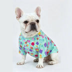 French Bulldog wearing mint green birthday party print cotton t-shirt, studio product photo