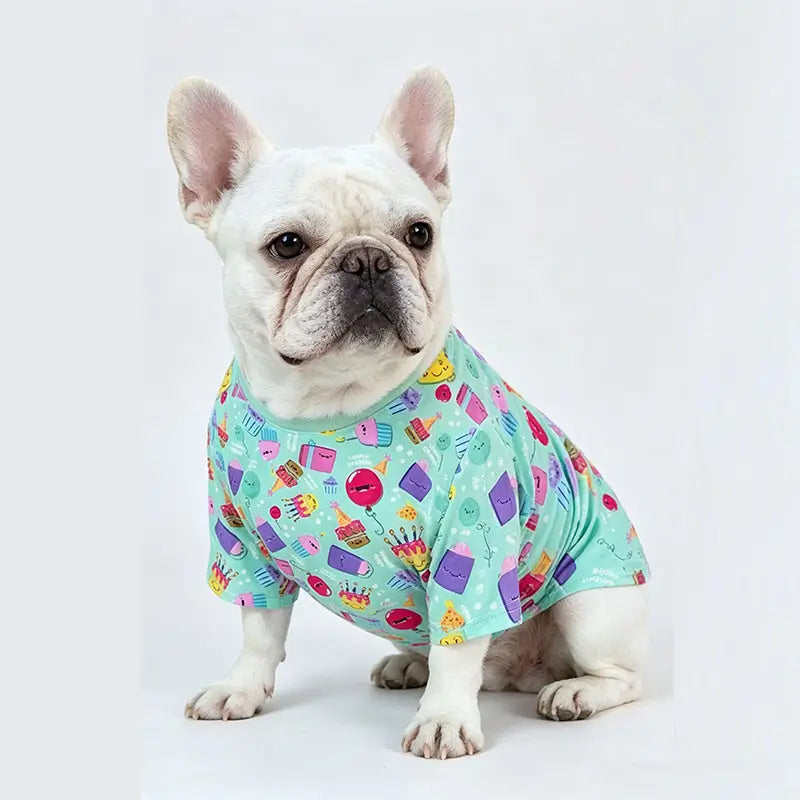 French Bulldog wearing mint green birthday party print cotton t-shirt, studio product photo