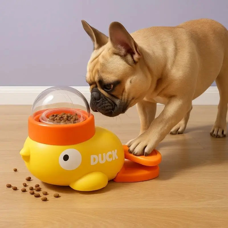 French Bulldog using paw to press the duck-shaped treat dispenser toy, interactive feeding puzzle for small dogs