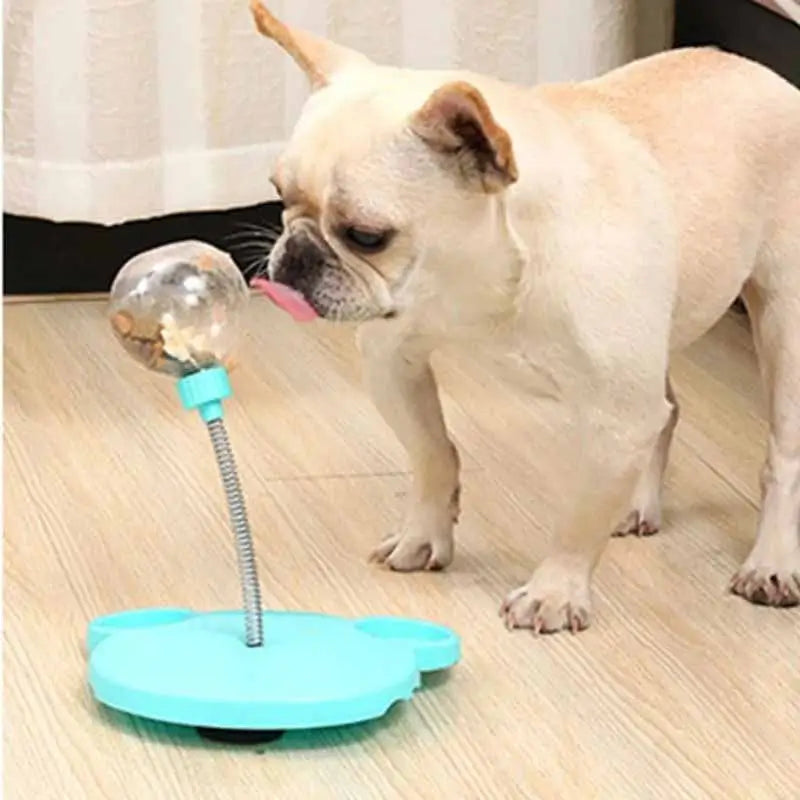 French Bulldog playing with interactive spring treat dispenser toy, slow feeder puzzle toy for small dogs, mental stimulation enrichment
