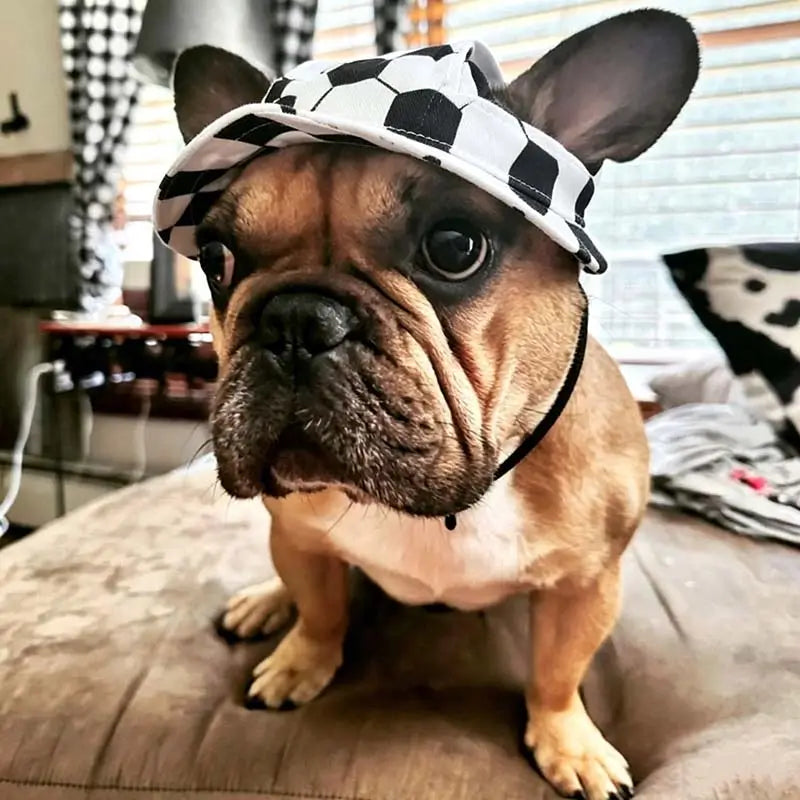 Adorable French Bulldog wearing a black and white soccer ball patterned bandana, sitting indoors on a beige cushion.