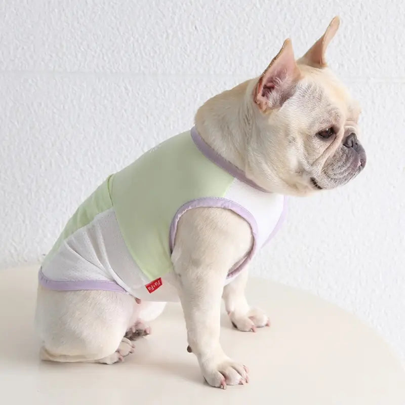 Cream French Bulldog in light green lilac breathable mesh cooling sleeveless vest, summer dog cooling clothes for bulldog breed