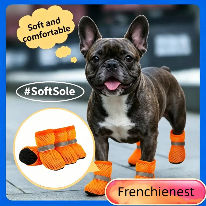 French Bulldog wearing breathable mesh dog boots on hot pavement - comfortable summer paw protectors for daily walks
