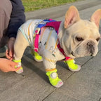 French Bulldog wearing neon green breathable mesh dog boots on a sidewalk, showing comfortable fit and secure closure.