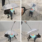 French Bulldog Wearing Clear Hands-Free Dog Umbrella Outdoor Rain Walk Scene Collage, Small Breed Puppy Rain Accessory Demo