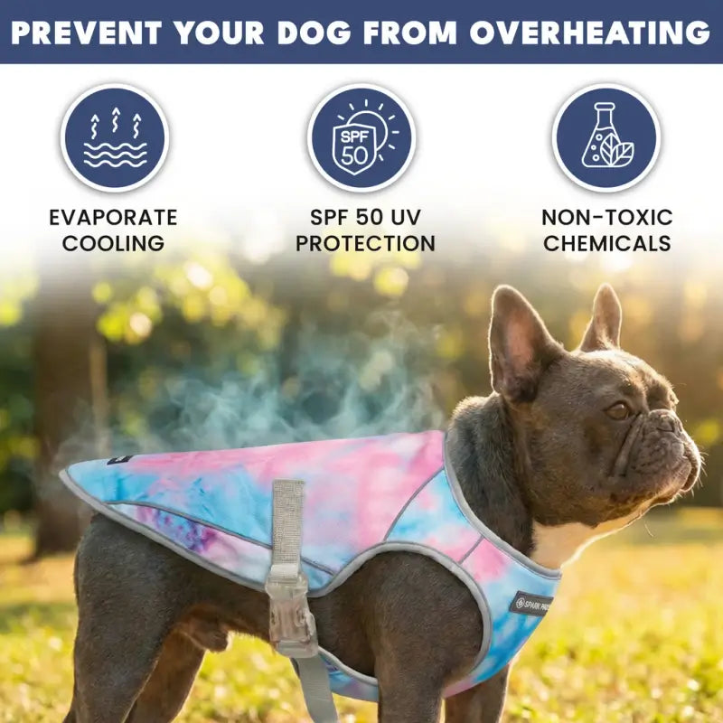 Gray French Bulldog in tie dye cooling vest outdoors, features evaporative cooling, SPF50 UV shield, non-toxic safe fabric for summer heat prevention | Frenchie Nest