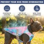 Gray French Bulldog in tie dye cooling vest outdoors, features evaporative cooling, SPF50 UV shield, non-toxic safe fabric for summer heat prevention | Frenchie Nest