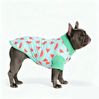 Blue watermelon print SPF30 sun protection shirt on gray French Bulldog standing side profile, breathable dog summer UV protection clothes for bully breeds