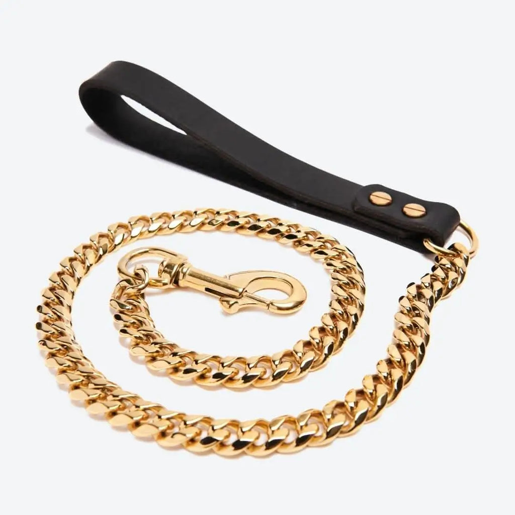 Full view of gold chain dog leash with black leather handle and stainless steel clasp
