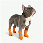 Grey French Bulldog in orange breathable mesh dog boots - adjustable anti-slip summer shoes for flat-faced breeds