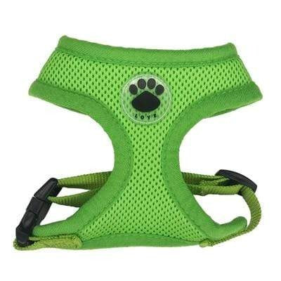 “LOVE” Paw Mesh Harness