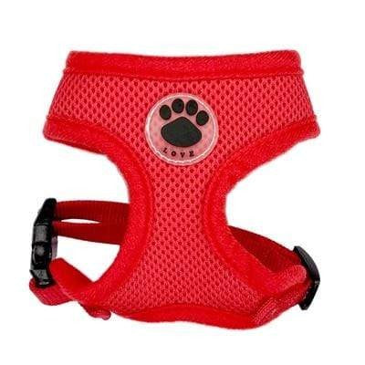 “LOVE” Paw Mesh Harness
