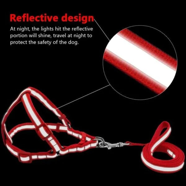 “NO PULL” Reflective Dog Harness and Leash Set