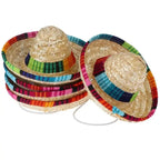 Mini Mexican straw sombrero hats for pets, colorful striped design for small dogs like French Bulldogs