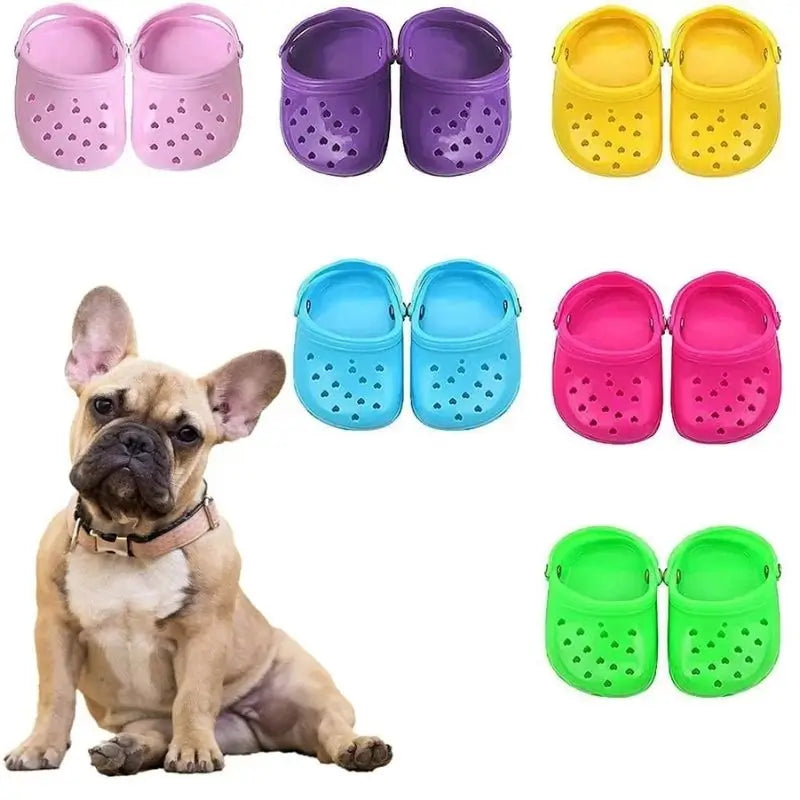 Multi-color dog clogs with heart cutouts for French Bulldogs, available in pink, purple, yellow, blue, hot pink, and neon green.