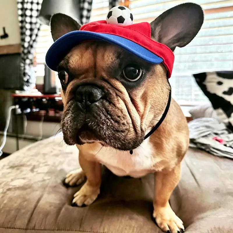 French Bulldog in a red and blue soccer-themed sun visor with a 3D soccer ball detail, looking at the camera.