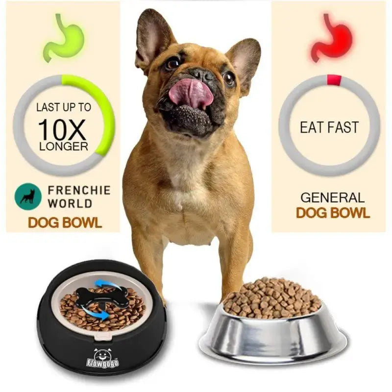 Rotating Bone Slow Feeder Dog Bowl for French Bulldog, slows feeding speed 10x longer than regular bowl to prevent bloating, indigestion & gastric torsion for Frenchie