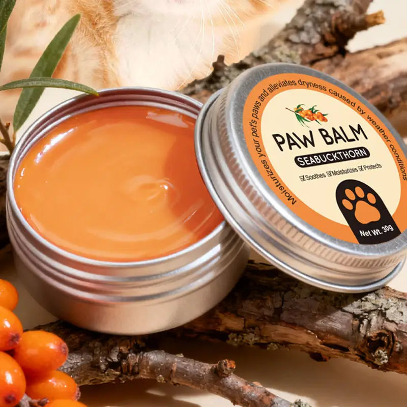 Close up open jar seabuckthorn pet paw balm organic natural moisturizer for dog cat dry paws