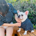 Matching navy star print shirt set for owner and French Bulldog, worn outdoors on a wooden bench, showing the dog shirt fit and coordinated design.