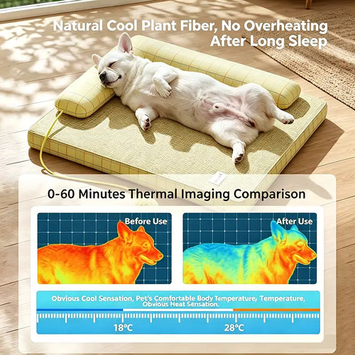 French Bulldog lying on back on cooling rattan bed, before-after thermal imaging showing effective heat dissipation for Frenchies