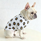 Cream French Bulldog wearing a white daisy print short-sleeve dog shirt, stylish pet clothes for Frenchies
