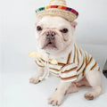 White French Bulldog wearing a mini straw sombrero hat, cute pet costume for Cinco de Mayo