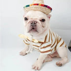 White French Bulldog wearing a mini straw sombrero hat, cute pet costume for Cinco de Mayo