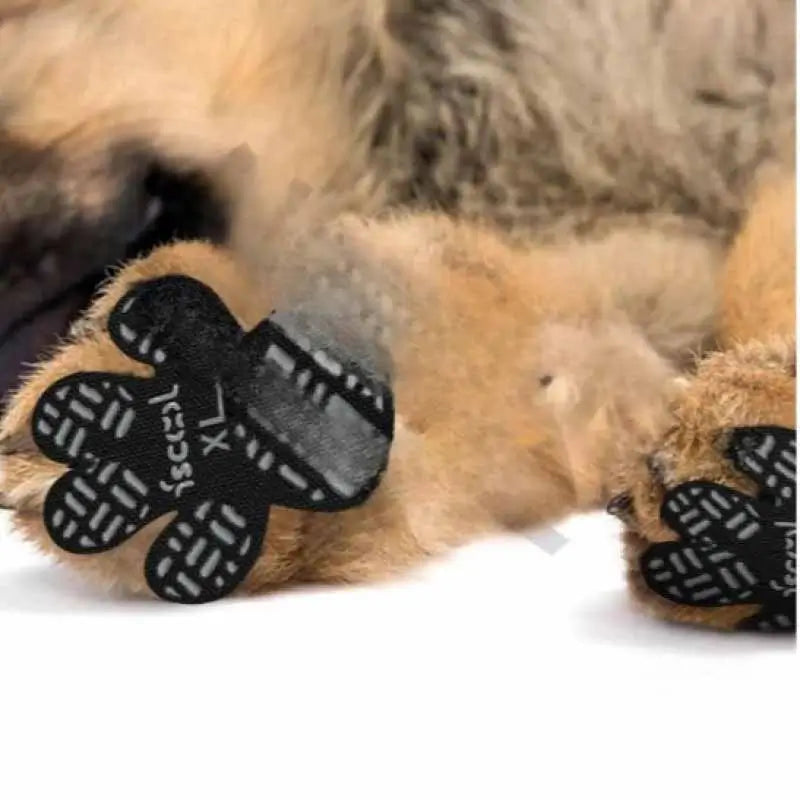 Closeup of XL size black dog paw pads, anti-slip silicone foot protectors applied to dog paws