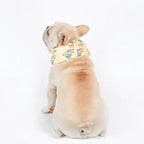 Pale yellow cartoon graphic cooling scarf worn by French Bulldog, adjustable drawstring summer pet neck wrap prevents overheating | Frenchie Nest