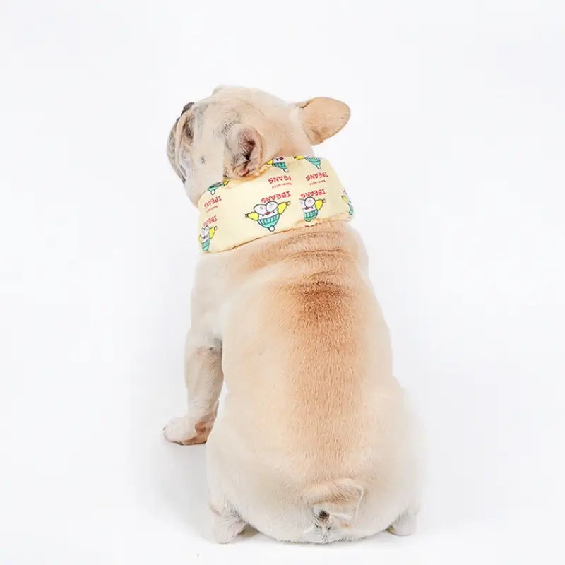 Pale yellow cartoon graphic cooling scarf worn by French Bulldog, adjustable drawstring summer pet neck wrap prevents overheating | Frenchie Nest